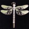pale green dragonfly